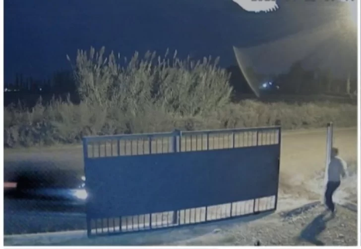 Video: Estaba ebrio, chocó contra un portón y atropelló a un hombre