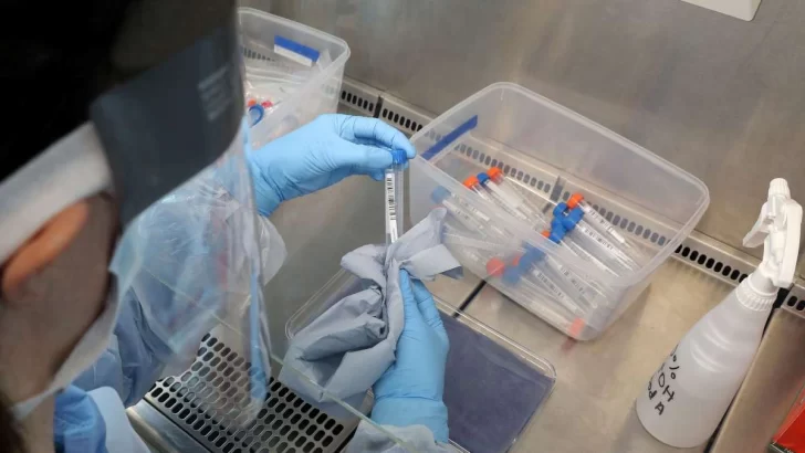 El Gobierno recibirá en 10 días el primer lote de 10 mil tests de rápida detección del coronavirus