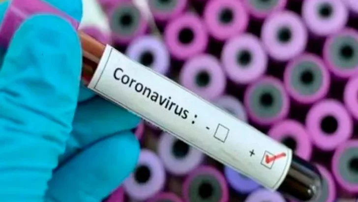 Coronavirus en Argentina: confirman nueve casos más y ya son 65 los contagiados