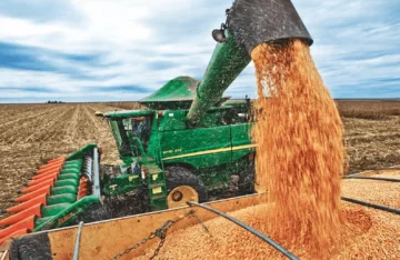 Abren el mercado para que Argentina exporte maíz a China