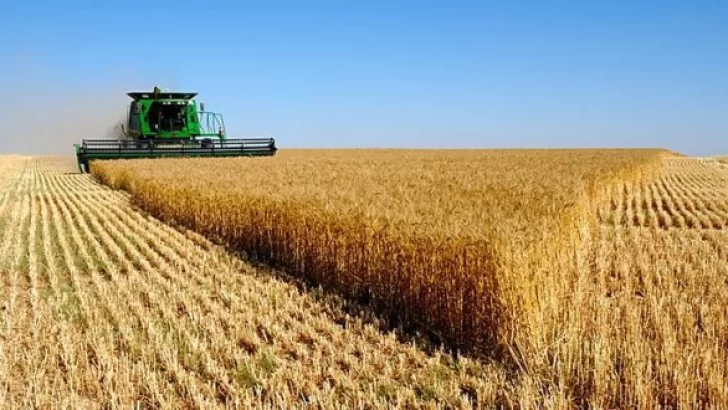 En octubre el Estado se llevó el 61.3% de la renta agrícola