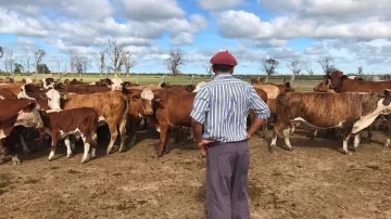 Trabajadores rurales: aumentaron las prestaciones por desempleo