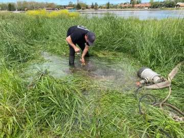 Repararon la cañería que afectaba el suministro de agua de Quequén