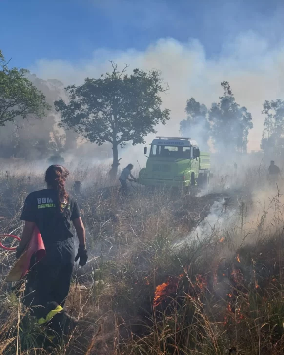 Sofocaron varios incendios