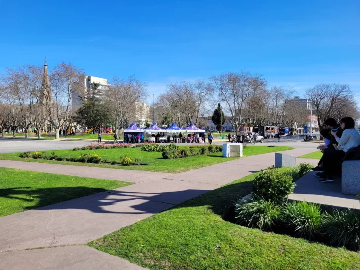 Video: La plaza está lista para las actividades del fin de semana