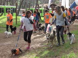 Este domingo vuelve la Canicross