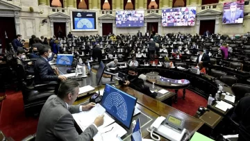 Diputados avanza en la modificación de la ley Ovina