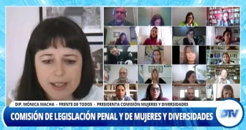 Amplio acuerdo para incorporar la perspectiva de género en delitos intrafamiliares