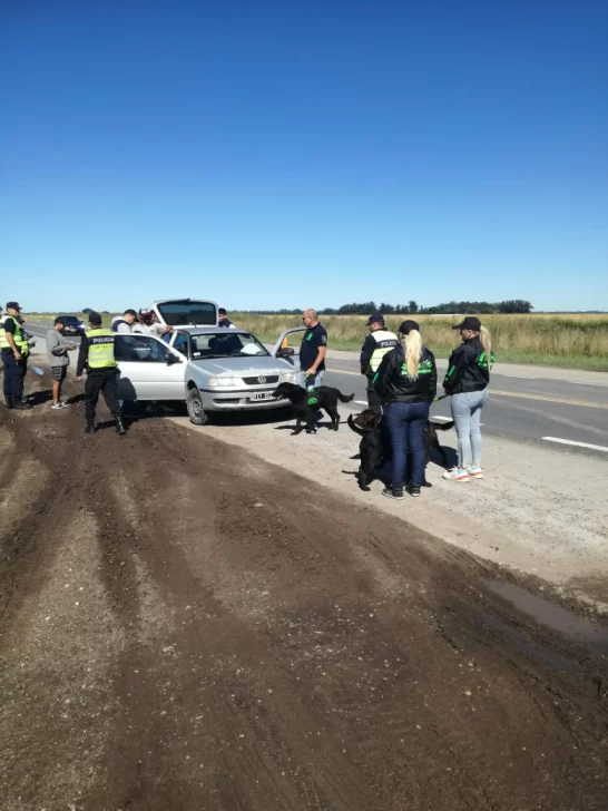 Operativo antidroga en Ruta 88