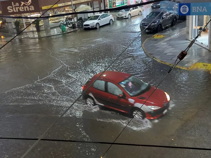 Bendita lluvia: ya cayeron 12 milímetros