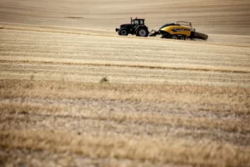 Prevén que la campaña agrícola sea la peor de los últimos cinco años