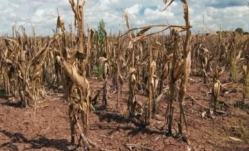 Advierten que las lluvias de otoño no alcanzaron para revertir la sequía