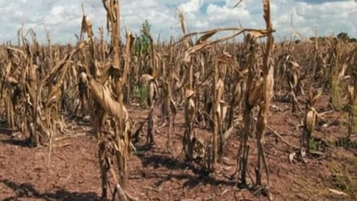 Kicillof declaró la emergencia por sequía en 13 distritos y anunció ayuda para los productores