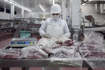 Las exportaciones de carne vacuna crecieron un 25,1% interanual en el primer trimestre del año
