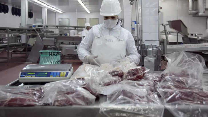 Por primera vez en el año, cayó el volumen de exportaciones de carne