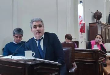 Inseguridad: la UCR pretende la presencia de Rojas en el Concejo