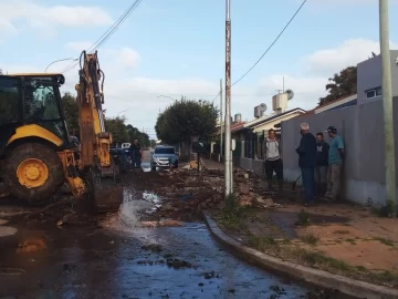 Otra vez la extracción de árboles provocó la rotura de un caño y destrozos en veredas