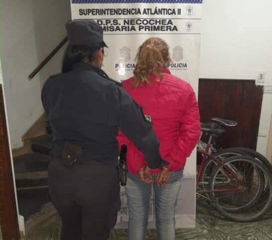 Detienen a una mujer cuando intentaba huir con dinero que había robado su hijo