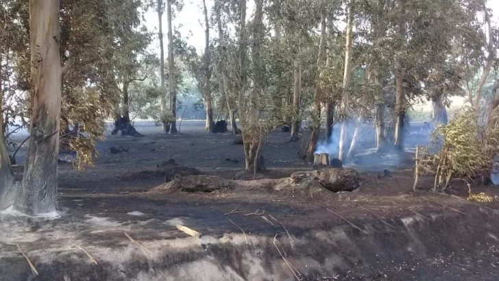 Incendio en Lobería: se quemaron 110 hectáreas