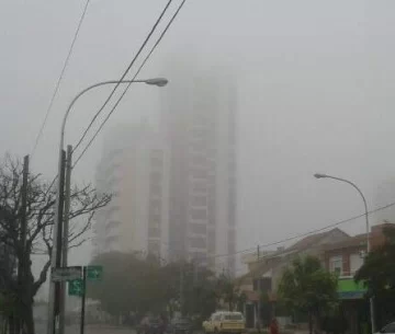 Neblina en la mañana