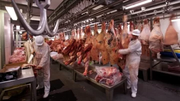El consumo promedio argentino de carne sigue en caída libre
