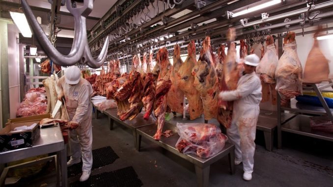 El Gobierno cedió y autorizó subas de precios en cortes populares de carne