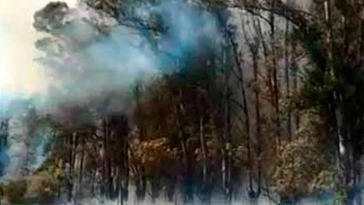 Otro incendio en ruta 86: se quemaron más de 3 hectáreas de monte de eucaliptus