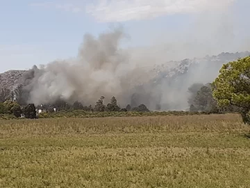 Los bomberos intentan controlar un incendio en La Barrosa
