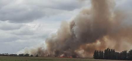 Incendio en ruta 86: se quemaron más de 20 hectáreas de rastrojo, colmenas y un auto