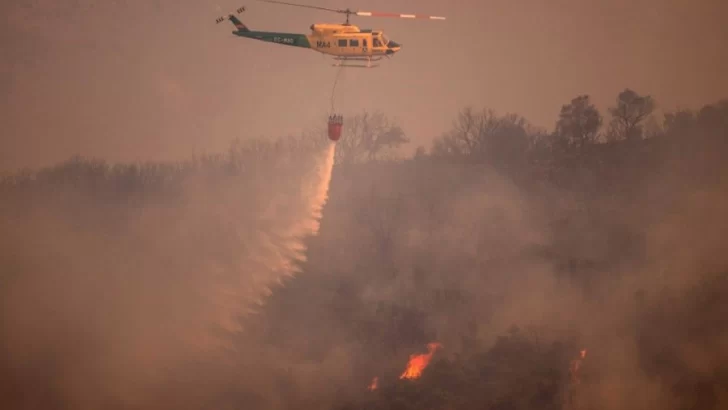 Calor extremo en Europa: incendios y más de 1000 muertos por las altas temperaturas