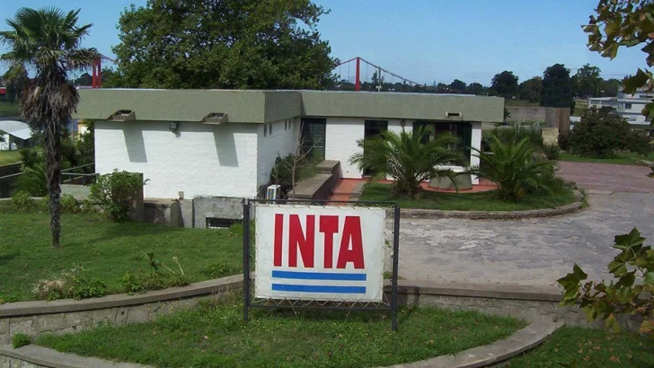 INTA sufre un ataque cibernético que afecta sus servicios informáticos