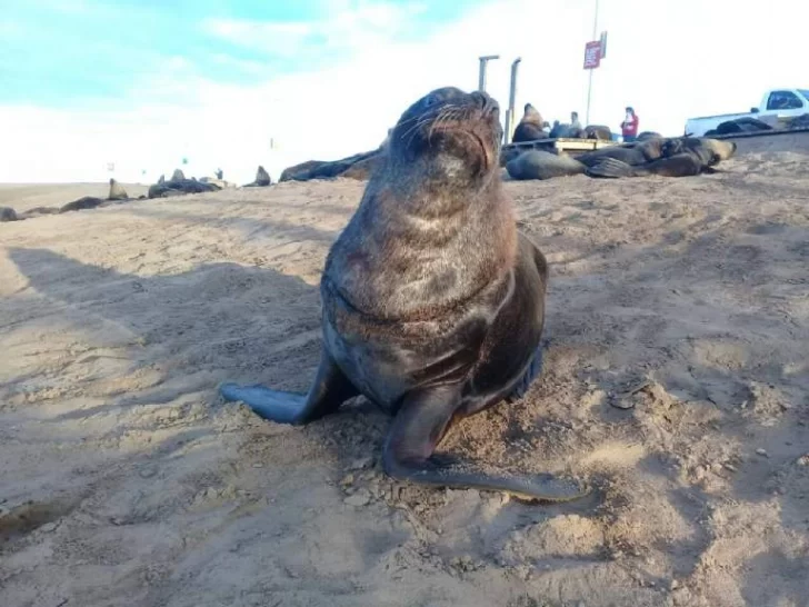 Susto en la escollera sur del puerto