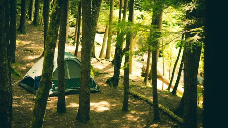 Verano en la Provincia: mirá cuando abren los campings