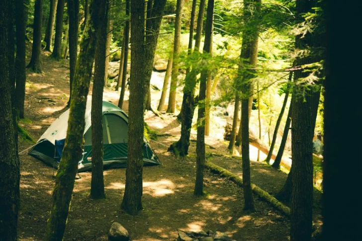 Verano en la Provincia: mirá cuando abren los campings