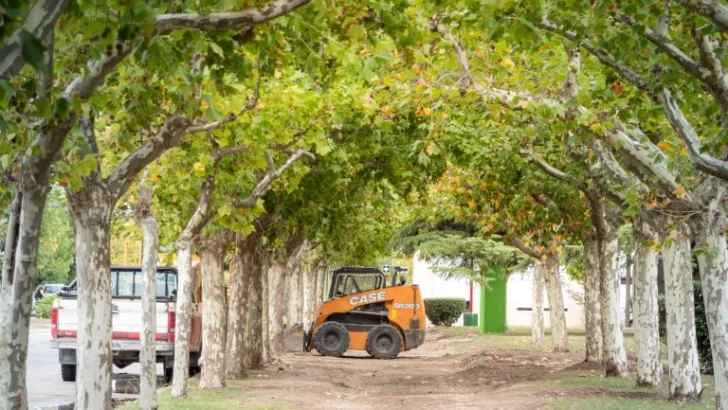 Avanza la remodelación de Plaza América