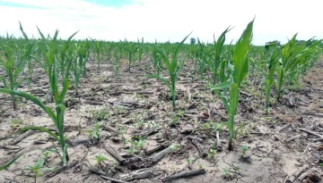 Evaluaron documentación para acceder a la emergencia agropecuaria