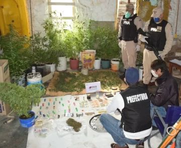 Secuestran 15 plantas de cannabis en un parador de playa