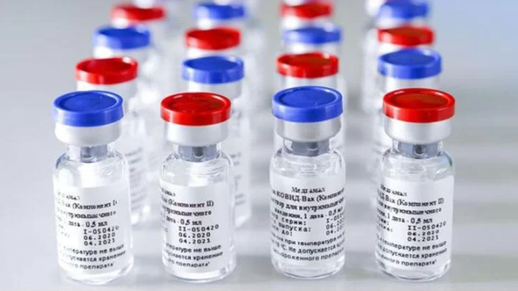 Coronavirus: Argentina comprará 25 millones de dosis de la vacuna rusa