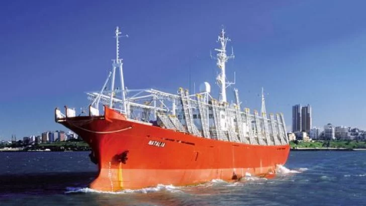 Retorna al puerto de Mar del Plata un buque con marineros con síntomas de coronavirus. 11 de ellos son de Necochea