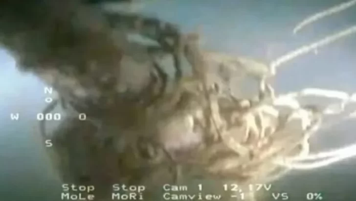 El submarino encontrado ya no es un “resto arqueológico” 
