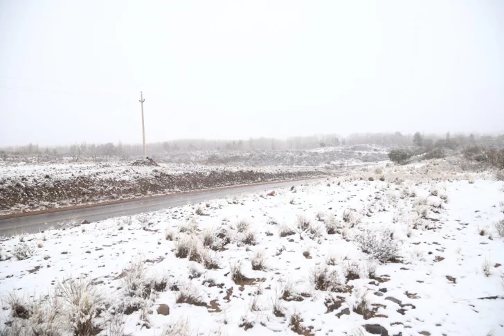 Podría nevar durante la madrugada en Necochea