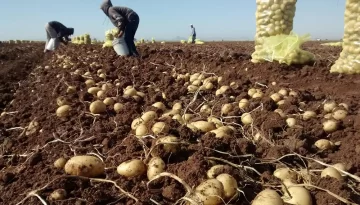 Explotación laboral en un campo de Lobería: encuentran 12 trabajadores hacinados