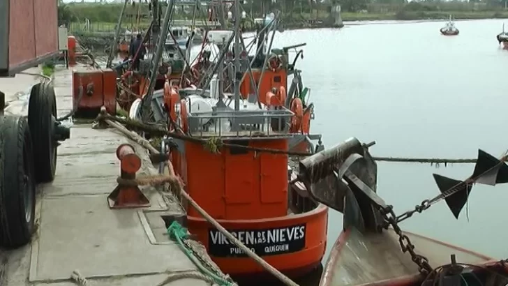 Diputados trabaja en un sistema de trazabilidad de la pesca