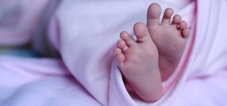 Ante la brutal caída de la natalidad un gobernador propone pagarles a los jóvenes por tener hijos