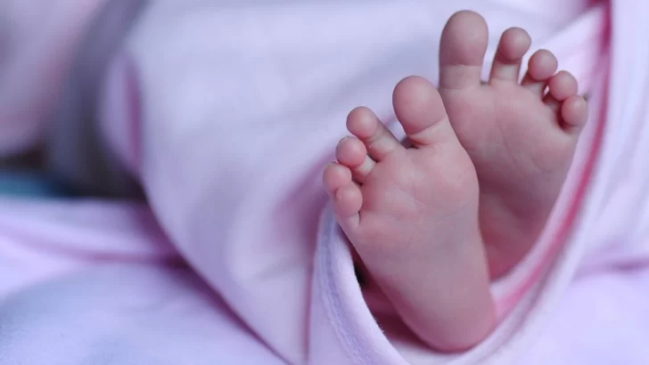 Ante la brutal caída de la natalidad un gobernador propone pagarles a los jóvenes por tener hijos