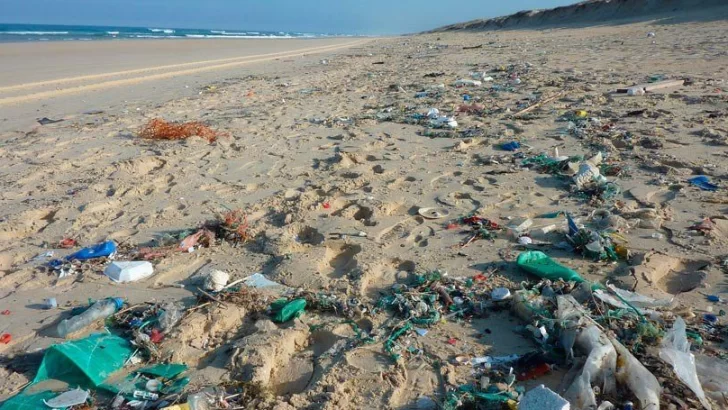 Más del 80% de los residuos encontrados en playas bonaerenses son plásticos