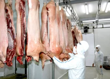 Otorgan beneficio económico a productores porcinos con recursos del “dólar soja”