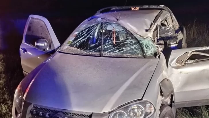 Una mujer muere al ser chocada por un camión de Correo Argentino: el conductor estaba alcoholizado