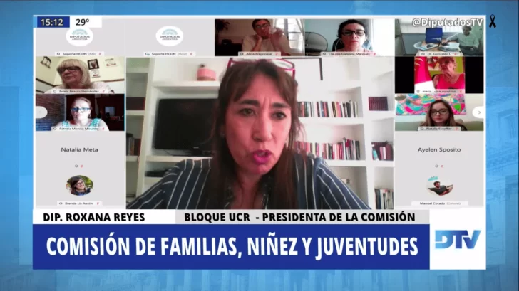 Se reunió la comisión de Familia, Niñez y Juventud