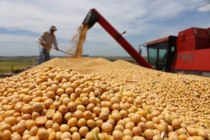 Advierten que tras la ola de calor ya no habrá “súper cosecha” de soja y maíz